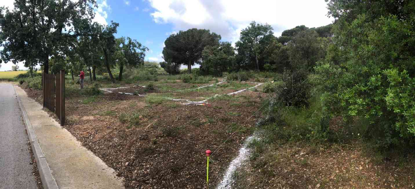 casa ACA, casa passiva amb biohabitabilitat